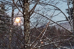 20211218_080440 - A Winter Moon