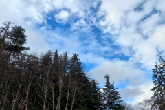 20220129_125556 - A Patch Of Blue Sky On An Overcast Day