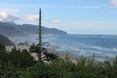 20050904_D_3910CO